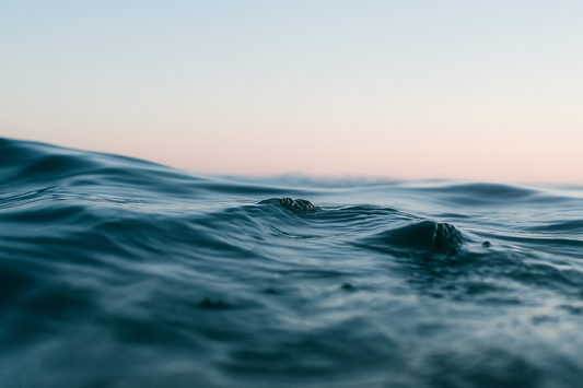 Why is the Ocean Important? Seven Reasons to Protect Our Oceans