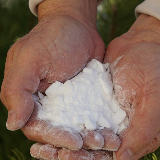 Smell Good, Do Good: Fragrant, Chemical-Free Soap Bars